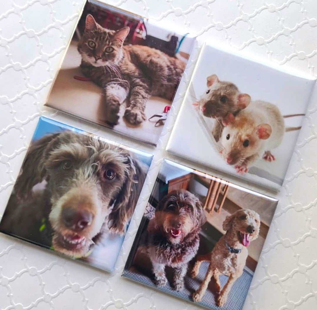 2x3 Photo Magnet