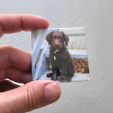 Set of 9 Personalized Photo Magnets