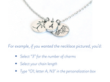 Build Your Story Charm Necklace