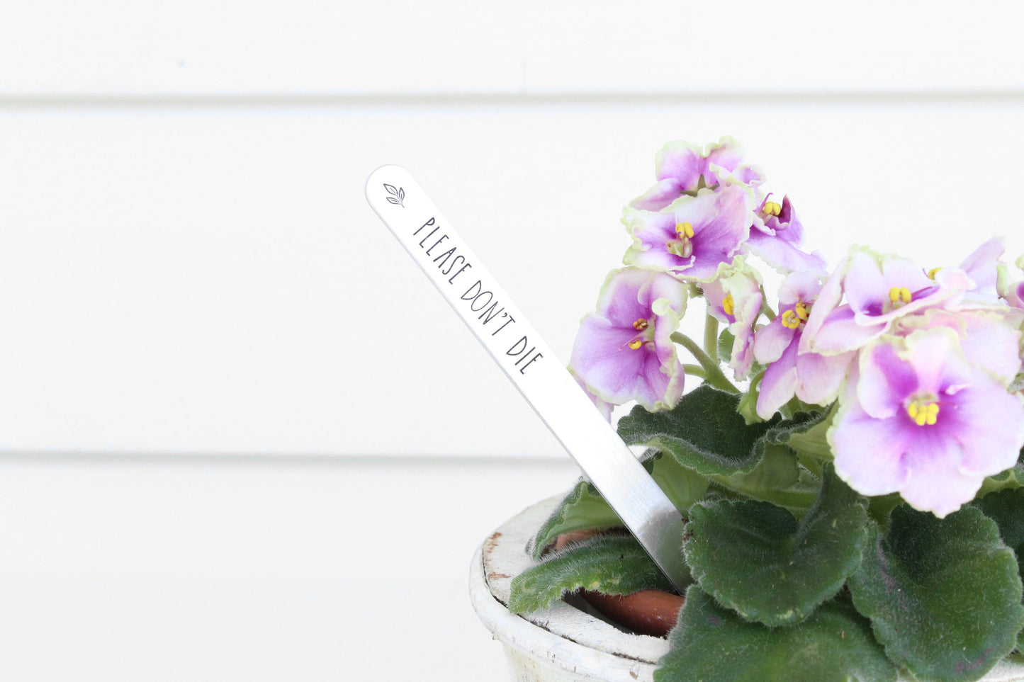Sassy Keepstakes Garden Markers
