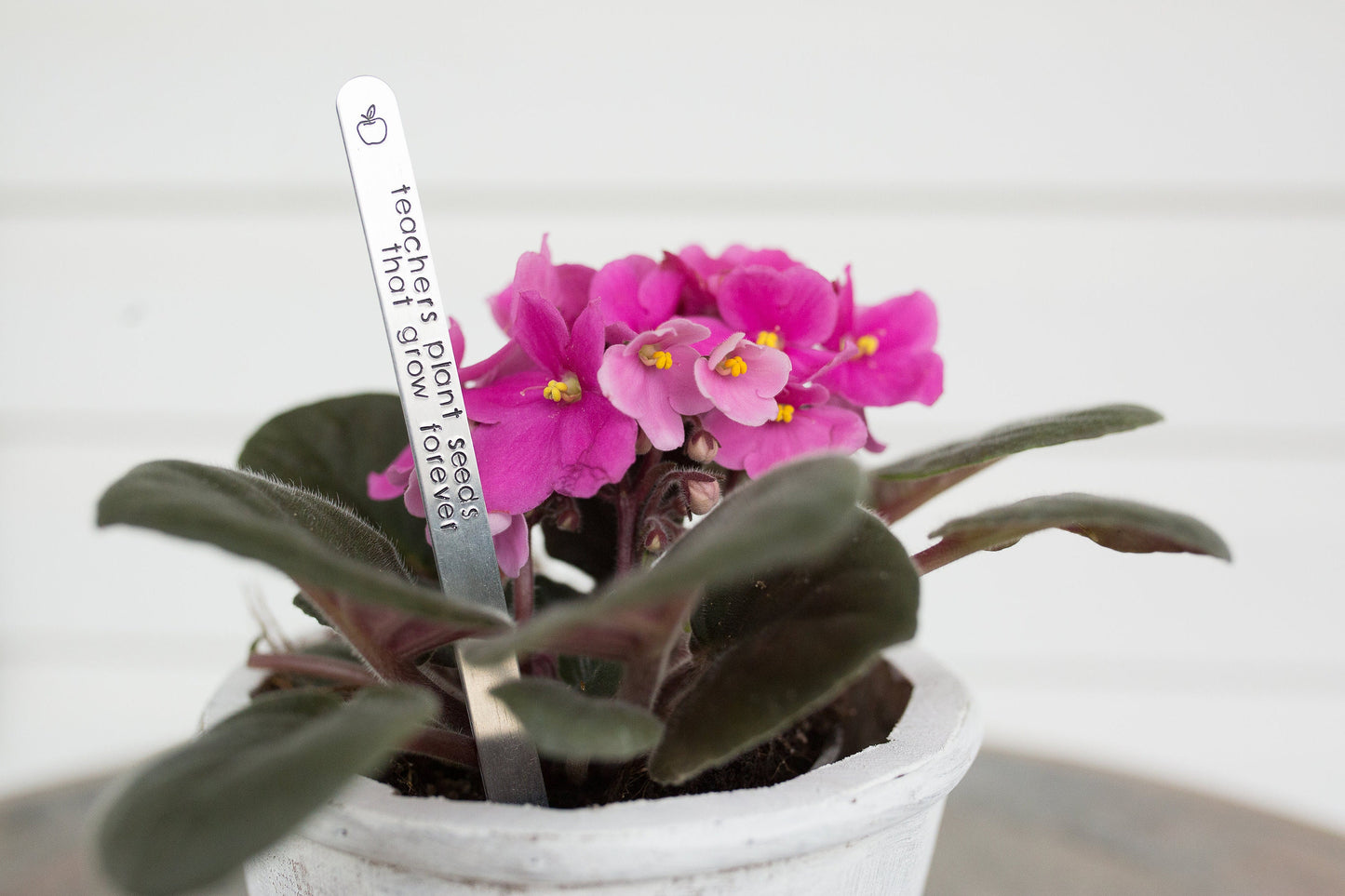 Teacher Gift Keepstakes Garden Markers