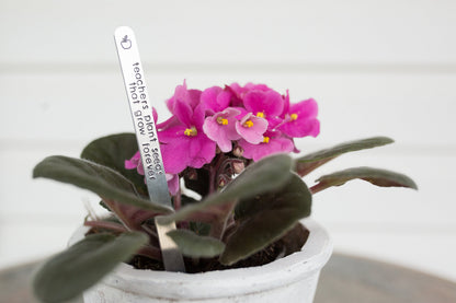 Teacher Gift Keepstakes Garden Markers