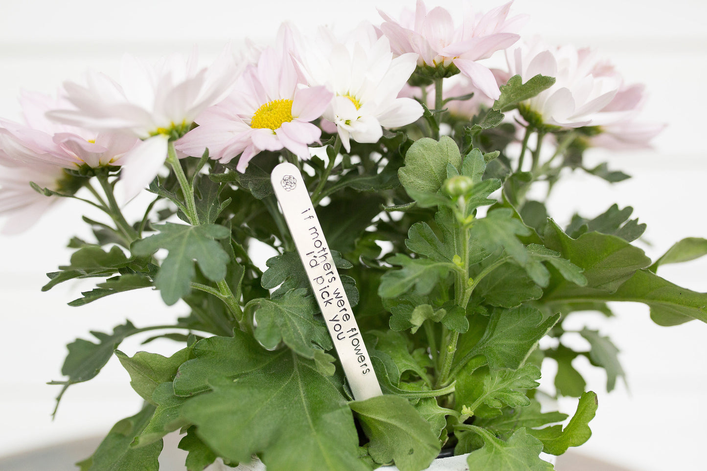 Sassy Keepstakes Garden Markers