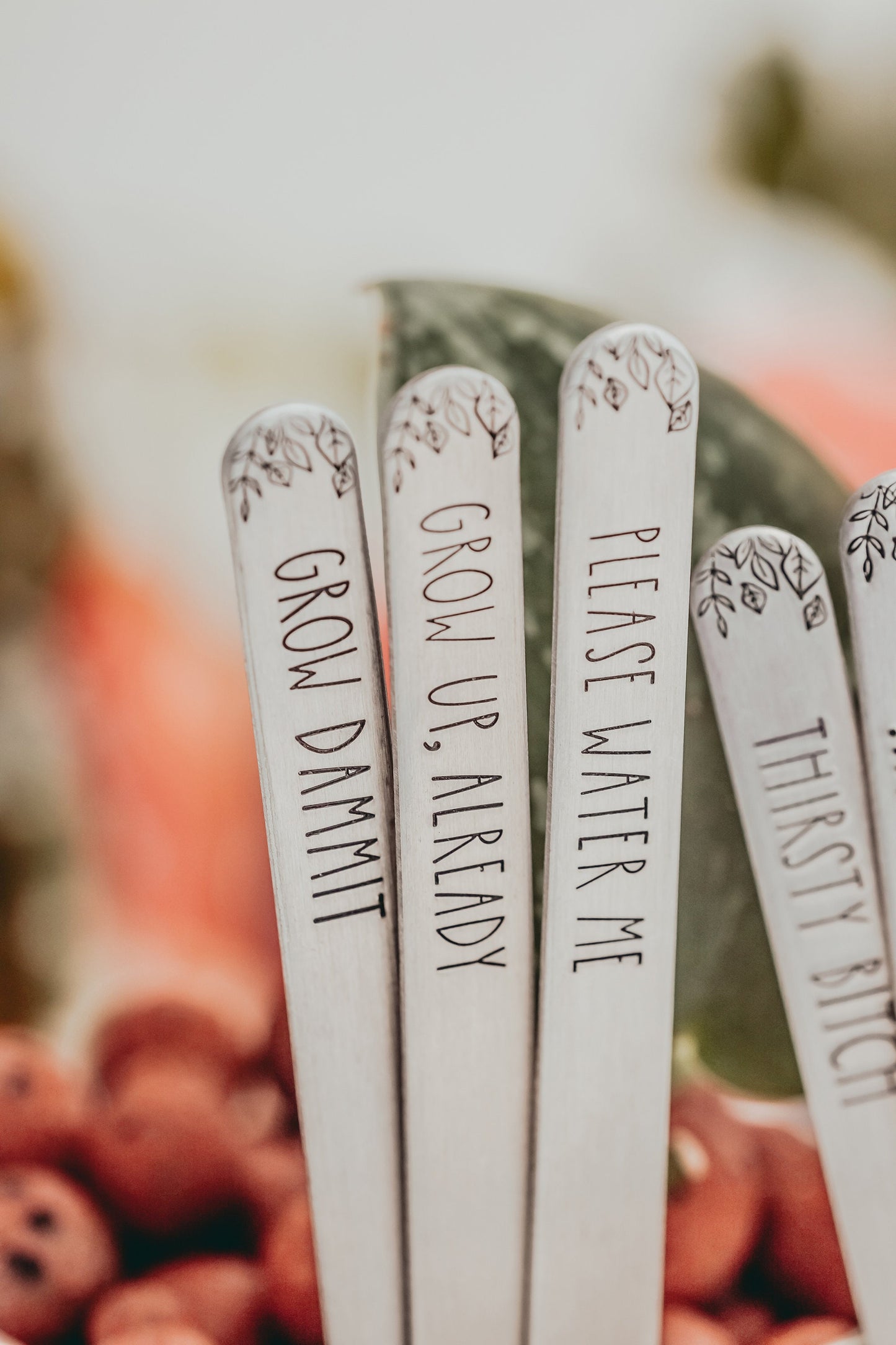 Sassy Keepstakes Garden Markers