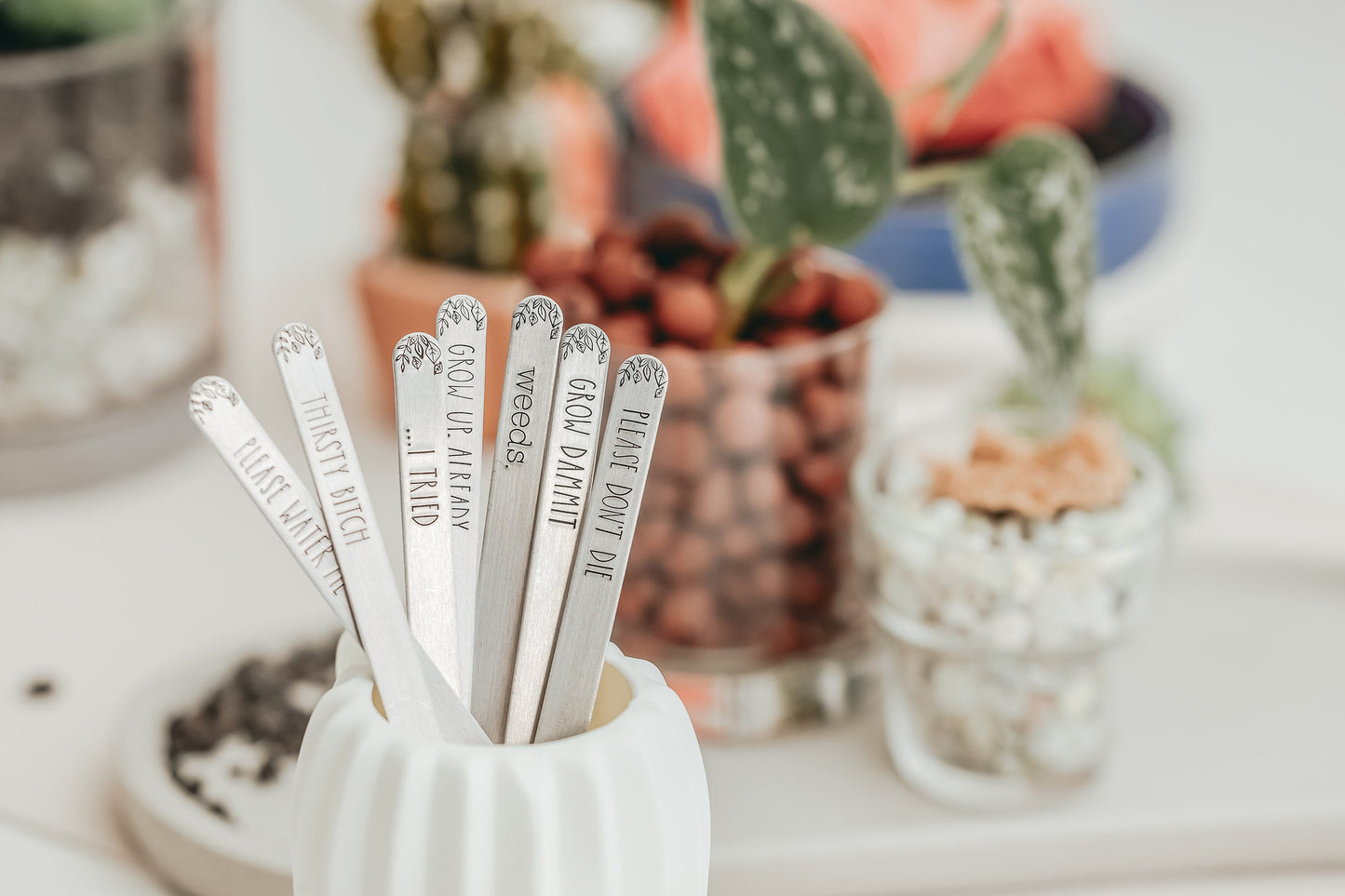 Sassy Keepstakes Garden Markers
